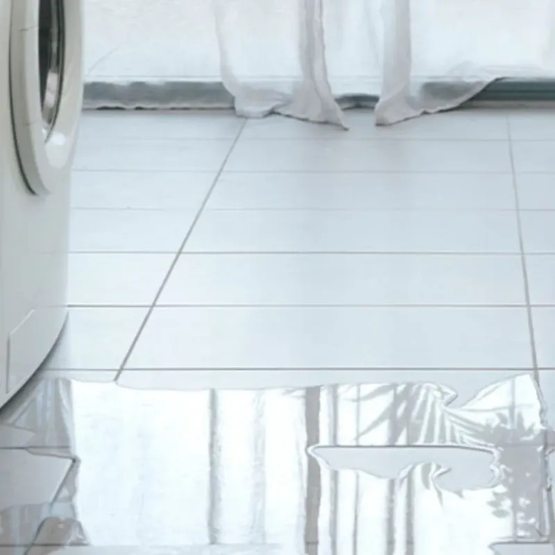 Appliance Leak Cleanup in Walker County, AL