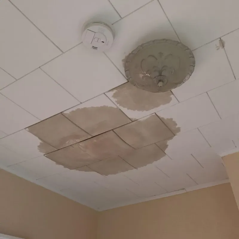 Ceiling Water Damage Repair in Walker County, AL