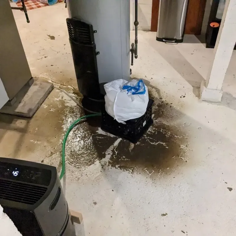 Sewage Backup Cleanup Service in Walker County, AL